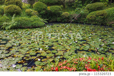 山形 鶴舞園 水辺の夏景色 山形 鶴舞園 水辺の夏景色 115320723
