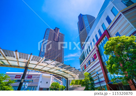 日本の川崎都市景観 6月。武蔵小杉駅前のタワーマンション群などを望む 日本の川崎都市景観 6月。武蔵小杉駅前のタワーマンション群などを望む 115320870