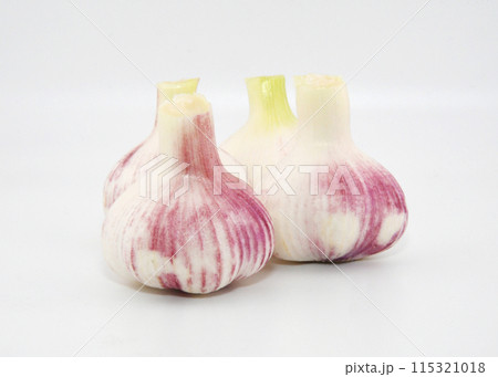 採れたてにんにく 115321018