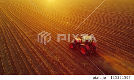 Golden Hour: Aerial View of Tractor on Soybean Plantation 115321597