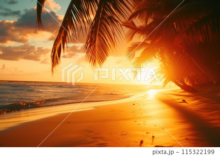 Palms Aglow: Tropical Sunset Delight 115322199