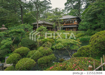 山形 鶴舞園 新緑の庭園と清遠閣 山形 鶴舞園 新緑の庭園と清遠閣 115322694