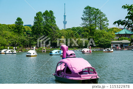 晴れ渡った春の上野公園ボート池(東京都台東区) 晴れ渡った春の上野公園ボート池(東京都台東区) 115322978
