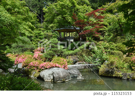三室戸寺 与楽園 庭園 三室戸寺 与楽園 庭園 115323153
