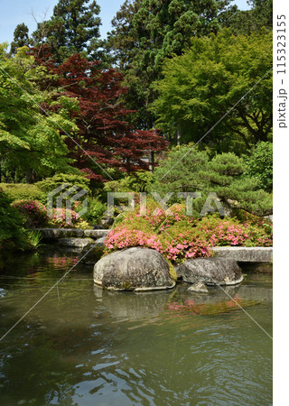 三室戸寺 与楽園 庭園 三室戸寺 与楽園 庭園 115323155