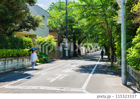 閑静な住宅街　成城 115323337