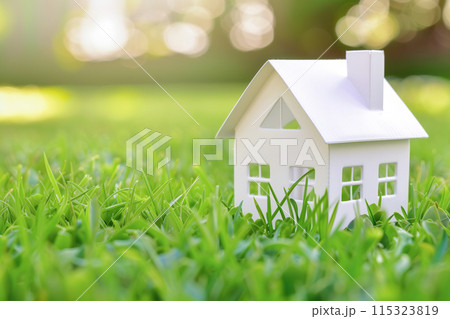 Eco-Friendly Home Concept on Lush Lawn 115323819