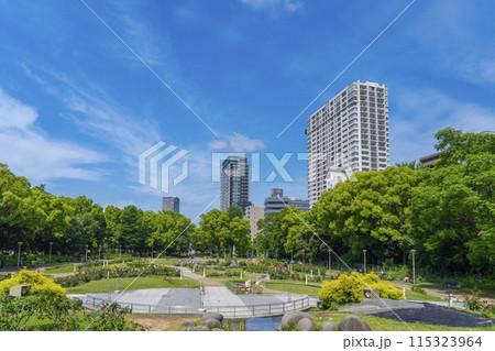 靱公園　薔薇の花が咲く季節 115323964