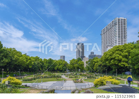 靱公園 薔薇の花が咲く季節 靱公園 薔薇の花が咲く季節 115323965