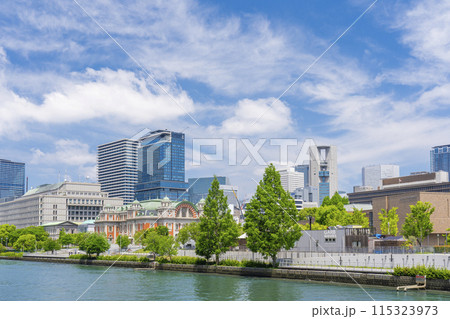 難波橋（ライオン橋）から見る中之島の景観 115323973