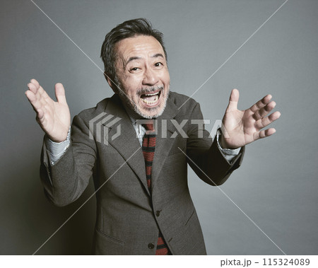 グレーバックのミドル世代のスーツを着たビジネスマン グレーバックのミドル世代のスーツを着たビジネスマン 115324089