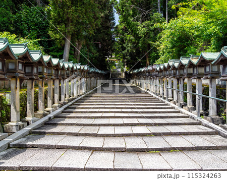 【奈良県】生駒市 宝山寺 (2024/06/04撮影) 115324263