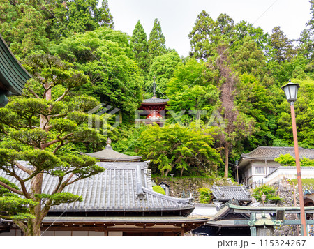 【奈良県】生駒市 宝山寺 (2024/06/04撮影) 115324267