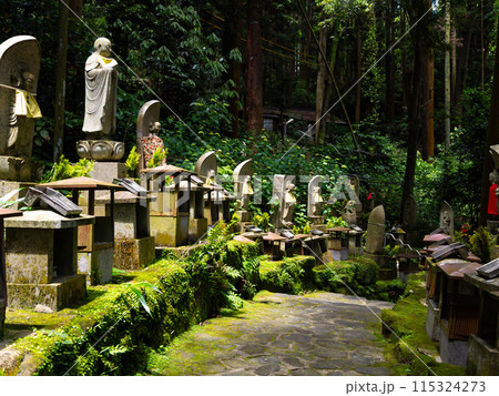 【奈良県】生駒市 宝山寺 (2024/06/04撮影) 115324273
