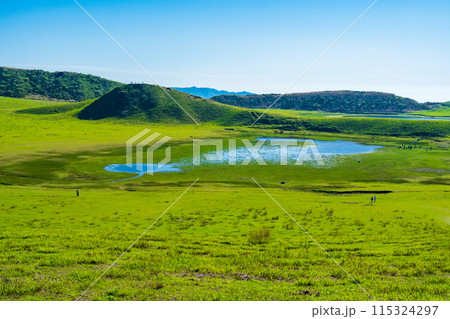 熊本県阿蘇　春の青空と草千里ヶ浜 115324297