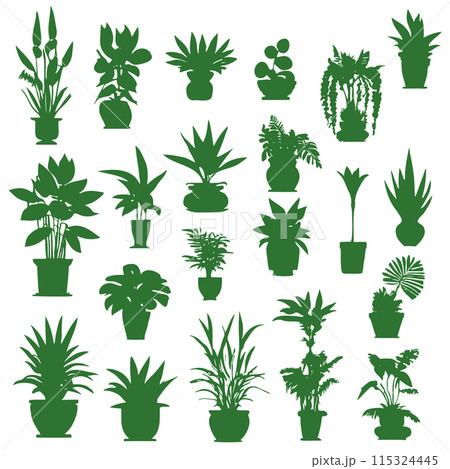 Set different potted houseplants silhouettes. Indoor flowers or plants 115324445