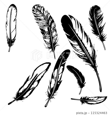 set Hand drawn black fluffy feathers. Vector black and white illustration in sketch form. set Hand drawn black fluffy feathers. Vector black and white illustration in sketch form. 115324463
