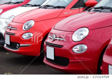 輸入車イメージ　フィアット500 115324704