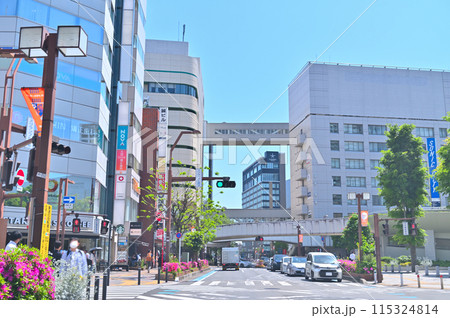 大宮駅　西口　風景（埼玉県・さいたま市） 115324814