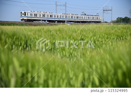麦畑を行く東武伊勢崎線ローカル電車 麦畑を行く東武伊勢崎線ローカル電車 115324995