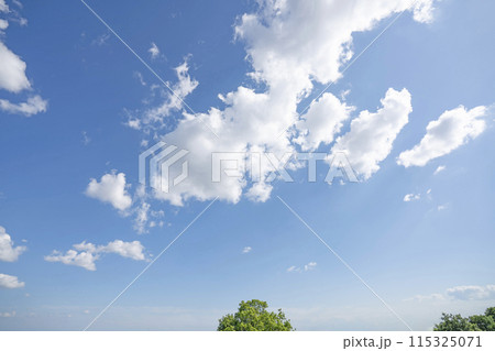 初夏の雲と木立 初夏の雲と木立 115325071