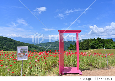 天空のポピー 秩父高原牧場 (埼玉県・皆野町・東秩父村) 天空のポピー 秩父高原牧場 (埼玉県・皆野町・東秩父村) 115325304