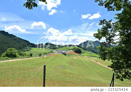 秩父高原牧場の風景（埼玉県） 115325414