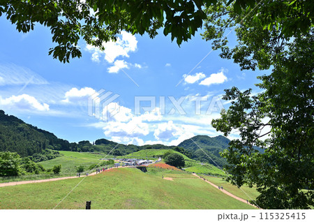 秩父高原牧場の風景（埼玉県） 115325415