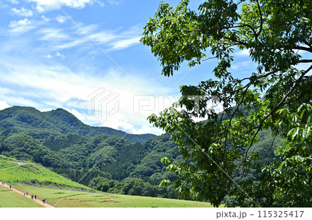 秩父高原牧場の風景(埼玉県) 秩父高原牧場の風景(埼玉県) 115325417
