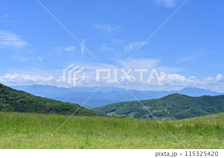 秩父高原牧場の風景(埼玉県) 秩父高原牧場の風景(埼玉県) 115325420