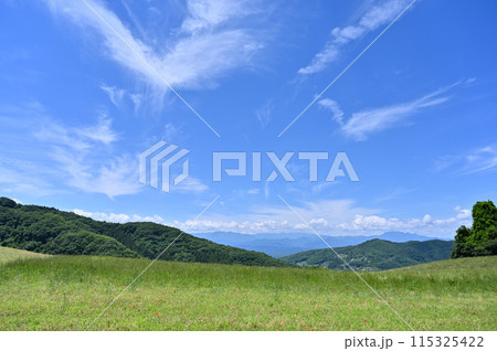 秩父高原牧場の風景（埼玉県） 115325422
