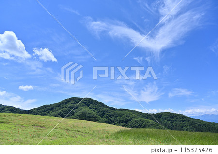 秩父高原牧場の風景(埼玉県) 秩父高原牧場の風景(埼玉県) 115325426
