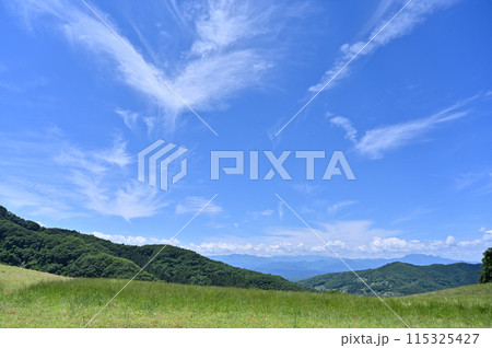 秩父高原牧場の風景(埼玉県) 秩父高原牧場の風景(埼玉県) 115325427