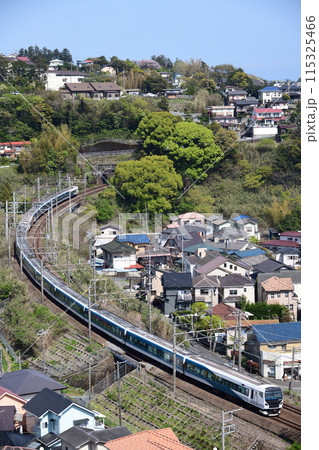 カーブを走る東海道線特急E257系踊り子号 115325466