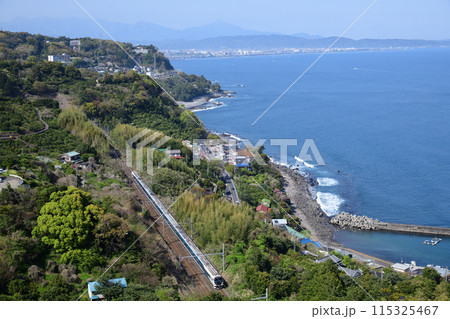 相模湾とE257系東海道線特急踊り子号 115325467