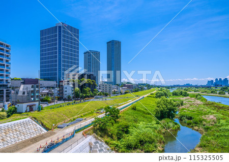 日本の東京都市景観 6月…二子玉川駅近くの多摩川や武蔵小杉駅前のタワマン群（右奥）＝8日 115325505