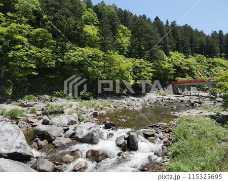 新緑の愛知県豊田市の香嵐渓 115325695