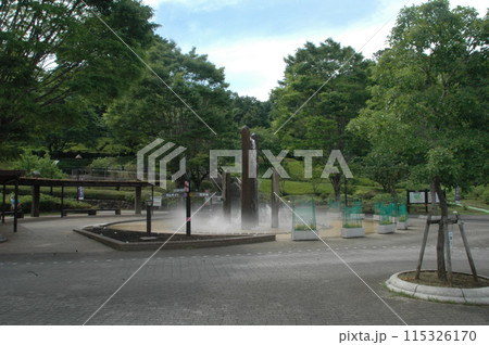 初夏の神奈川県立あいかわ公園の風景　 115326170