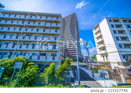 日本の横浜都市景観 6月。東急新横浜線　新綱島駅南口などを望む＝8日 115327746