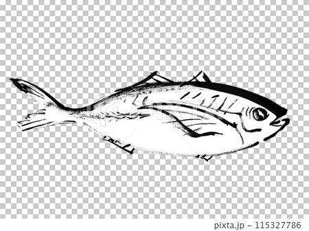 日式手繪魚（竹莢魚）插圖，面向右，線條畫 115327786