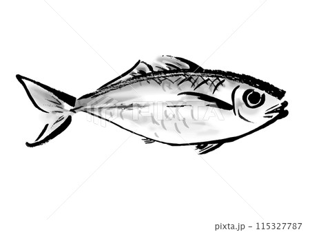 鯵の手描き和風イラスト和風素材 鯵の手描き和風イラスト和風素材 115327787