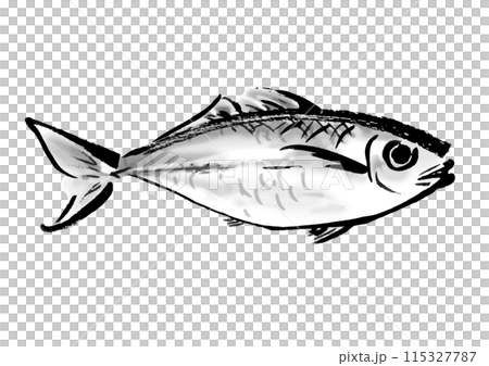 鯵の手描き和風イラスト和風素材 鯵の手描き和風イラスト和風素材 115327787