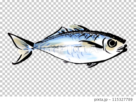horse mackerel hand drawn japanese style illustration japanese style material 115327789