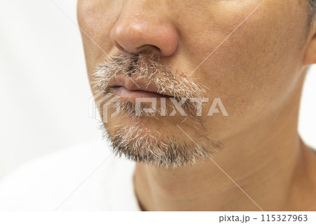 ヒゲを生やした男性 白バック ヒゲを生やした男性 白バック 115327963