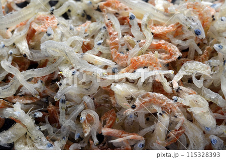 海老ちりめん 海老ちりめん 115328393