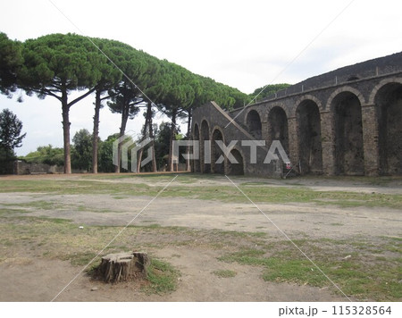 ヴェスヴィオ噴火で消えた古代遺跡、ポンペイ遺跡、円形闘技場 ヴェスヴィオ噴火で消えた古代遺跡、ポンペイ遺跡、円形闘技場 115328564