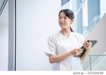病院で電子カルテを入力する看護師 病院で電子カルテを入力する看護師 115329289