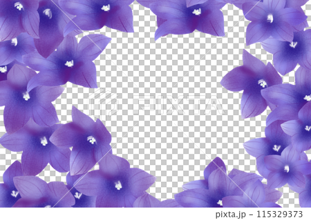 桔梗の花のカード5 桔梗の花のカード5 115329373