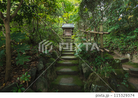 鶴舞園 森の中の祠 115329374