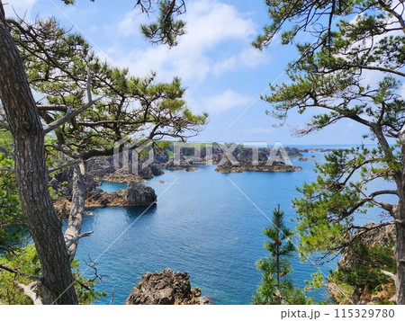 尖閣湾揚島遊園 尖閣湾揚島遊園 115329780